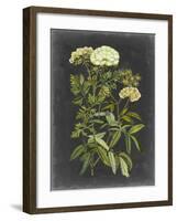 Bookplate Floral I-Naomi McCavitt-Framed Art Print