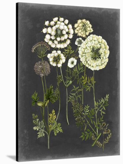 Bookplate Floral II-Naomi McCavitt-Stretched Canvas