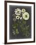 Bookplate Floral II-Naomi McCavitt-Framed Art Print