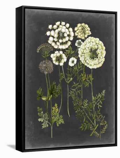 Bookplate Floral II-Naomi McCavitt-Framed Stretched Canvas