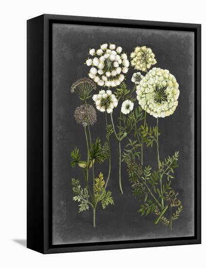 Bookplate Floral II-Naomi McCavitt-Framed Stretched Canvas