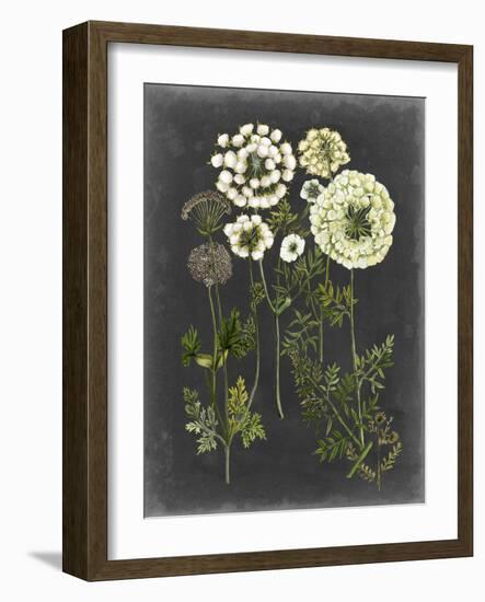 Bookplate Floral II-Naomi McCavitt-Framed Art Print