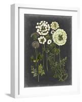 Bookplate Floral II-Naomi McCavitt-Framed Art Print