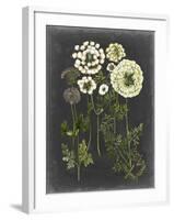 Bookplate Floral II-Naomi McCavitt-Framed Art Print