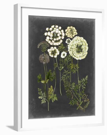 Bookplate Floral II-Naomi McCavitt-Framed Art Print