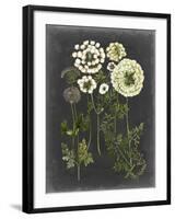 Bookplate Floral II-Naomi McCavitt-Framed Art Print