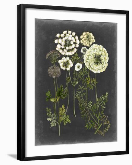 Bookplate Floral II-Naomi McCavitt-Framed Art Print