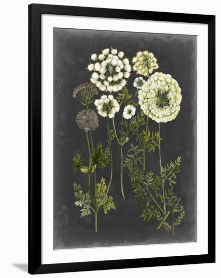 Bookplate Floral II-Naomi McCavitt-Framed Art Print