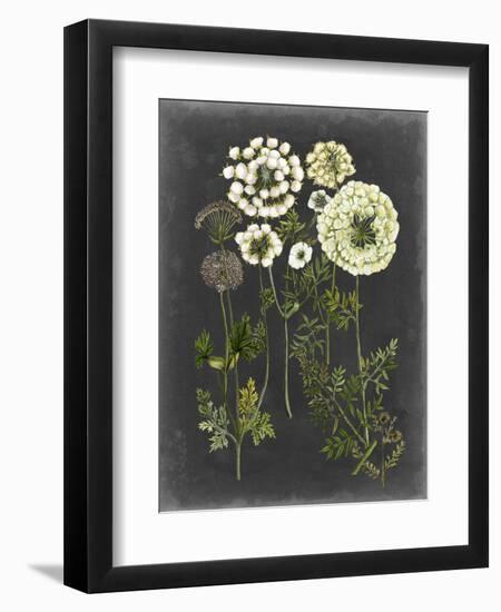 Bookplate Floral II-Naomi McCavitt-Framed Art Print