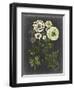 Bookplate Floral II-Naomi McCavitt-Framed Art Print