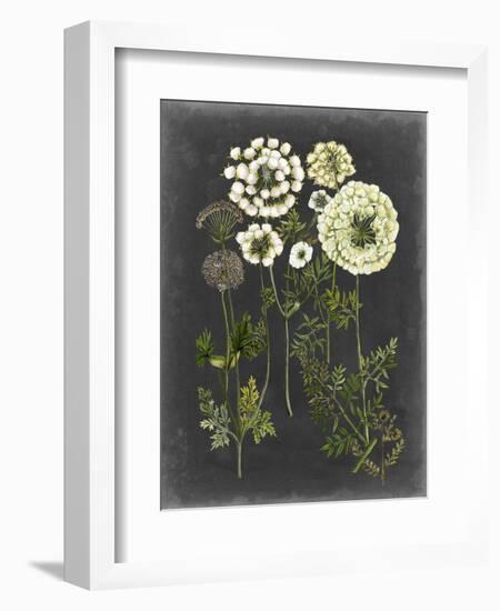 Bookplate Floral II-Naomi McCavitt-Framed Art Print