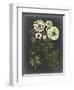 Bookplate Floral II-Naomi McCavitt-Framed Art Print