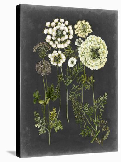 Bookplate Floral II-Naomi McCavitt-Stretched Canvas