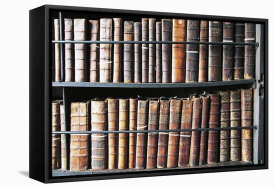 Books in Marsh's Library, Oldest Public Library in Ireland, Founded in 1701, Dublin, Ireland-null-Framed Stretched Canvas