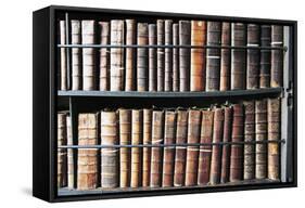 Books in Marsh's Library, Oldest Public Library in Ireland, Founded in 1701, Dublin, Ireland-null-Framed Stretched Canvas