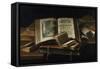 Books of Pleasure, 17th Century-null-Framed Stretched Canvas