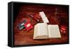 Books on Charles Darwin's Desk-null-Framed Stretched Canvas