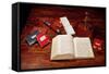 Books on Charles Darwin's Desk-null-Framed Stretched Canvas