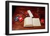 Books on Charles Darwin's Desk-null-Framed Giclee Print