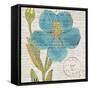 Bookshelf Botanical VI-Katie Pertiet-Framed Stretched Canvas