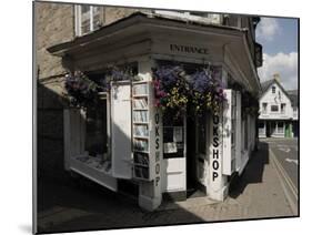 Bookshop, Hay on Wye, Powys, Mid-Wales, Wales, United Kingdom-David Hughes-Mounted Photographic Print
