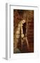 Bookworm-Carl Spitzweg-Framed Art Print