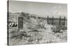 Boot Hill Cemetery, Tombstone, Arizona-null-Stretched Canvas