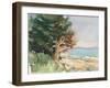 Boothbay Harbor Maine-Stephen Calcasola-Framed Art Print