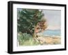 Boothbay Harbor Maine-Stephen Calcasola-Framed Art Print