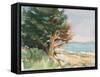 Boothbay Harbor Maine-Stephen Calcasola-Framed Stretched Canvas