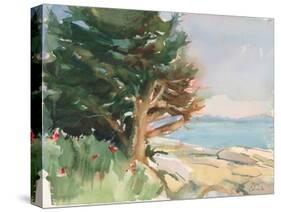 Boothbay Harbor Maine-Stephen Calcasola-Stretched Canvas
