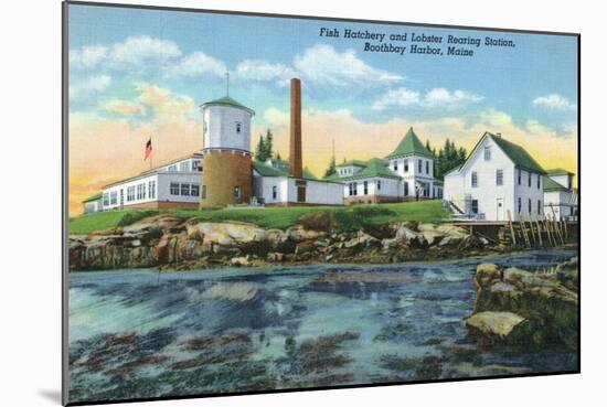 Boothbay Harbor, ME - View of a Fish Hatchery, Lobster Rearing Station-Lantern Press-Mounted Art Print