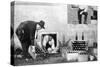 Bootleggers During Prohibition-American Photographer-Stretched Canvas