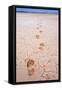 Bootprints Along Australian Outback-null-Framed Stretched Canvas