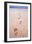 Bootprints Along Australian Outback-null-Framed Premium Photographic Print