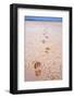 Bootprints Along Australian Outback-null-Framed Photographic Print