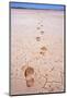 Bootprints Along Australian Outback-null-Mounted Photographic Print