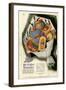 Boots, Magazine Advertisement, UK, 1920-null-Framed Giclee Print