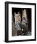 Boots ‘n Spurs V-Barry Hart-Framed Giclee Print