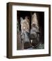 Boots ‘n Spurs V-Barry Hart-Framed Giclee Print