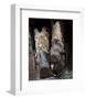 Boots 'n Spurs V-Barry Hart-Framed Art Print