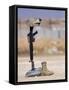 Boots, Rifle, Dog Tags, and Protective Helmet Stand in Solitude to Honor Fallen Soldiers-Stocktrek Images-Framed Stretched Canvas