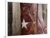 Boots with Star-Sisa Jasper-Framed Art Print