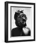 Bopende Tribesman of Western Congo Wearing Mask During Initiation of Boys Into Tribal Society-Eliot Elisofon-Framed Premium Photographic Print