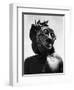 Bopende Tribesman of Western Congo Wearing Mask During Initiation of Boys Into Tribal Society-Eliot Elisofon-Framed Photographic Print