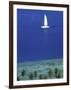 Bora Bora, French Polynesia-null-Framed Photographic Print