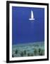 Bora Bora, French Polynesia-null-Framed Photographic Print