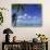 Bora Bora Island, French Polynesia So Pacific-Mitch Diamond-Premium Photographic Print displayed on a wall