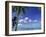 Bora Bora Island, French Polynesia So Pacific-Mitch Diamond-Framed Photographic Print