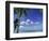 Bora Bora Island, French Polynesia So Pacific-Mitch Diamond-Framed Photographic Print